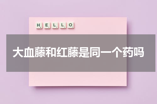 大血藤和红藤是同一个药吗