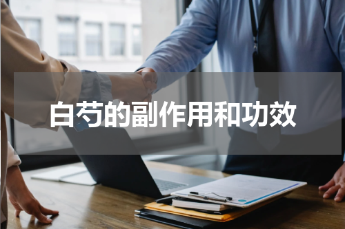 白芍的副作用和功效