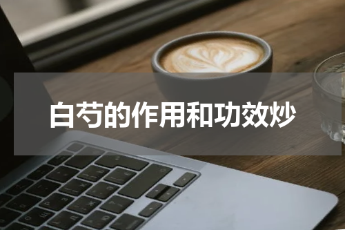 白芍的作用和功效炒