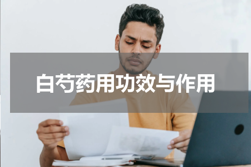 白芍药用功效与作用