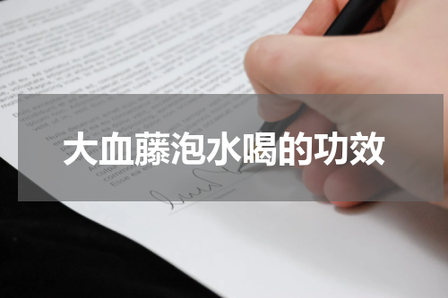 大血藤泡水喝的功效