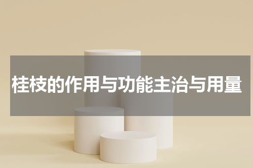 桂枝的作用与功能主治与用量