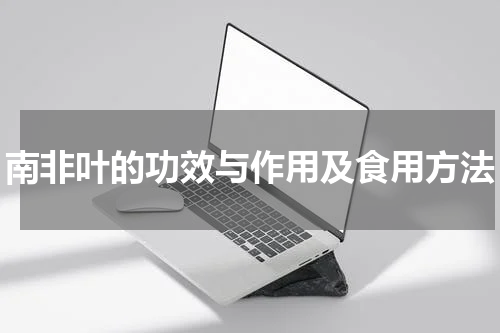 南非叶的功效与作用及食用方法