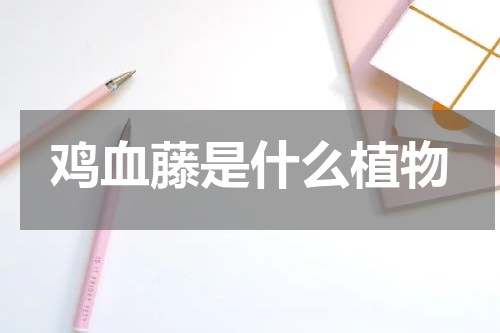 鸡血藤是什么植物