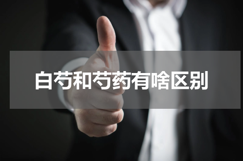 白芍和芍药有啥区别