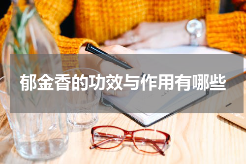 郁金香的功效与作用有哪些