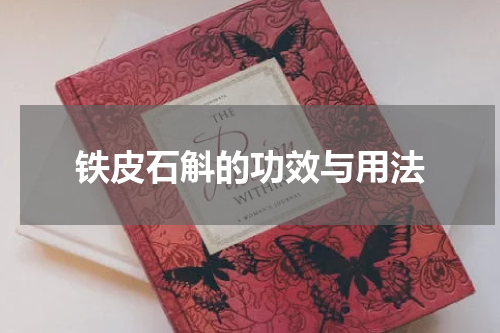铁皮石斛的功效与用法