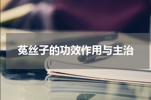 菟丝子的功效作用与主治