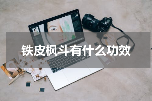 铁皮枫斗有什么功效