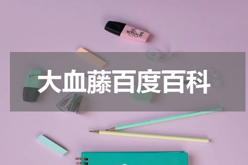 大血藤百度百科