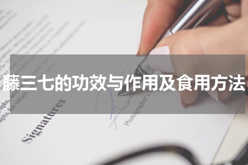 藤三七的功效与作用及食用方法