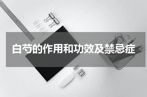 白芍的作用和功效及禁忌症