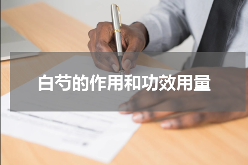 白芍的作用和功效用量