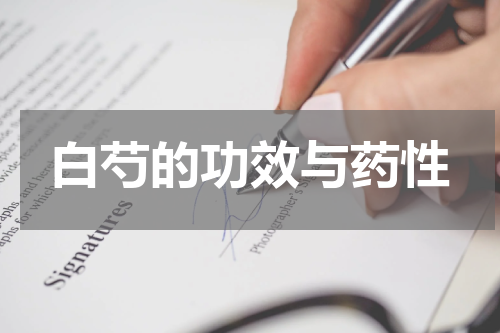 白芍的功效与药性