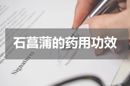 石菖蒲的药用功效