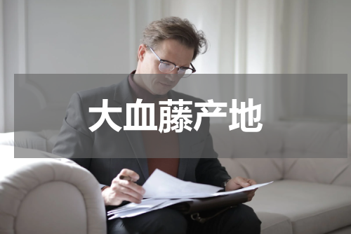 大血藤产地