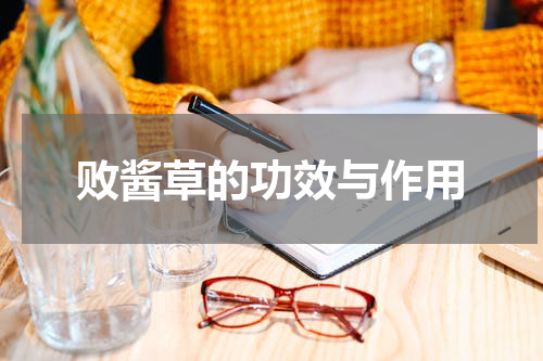 败酱草的功效与作用