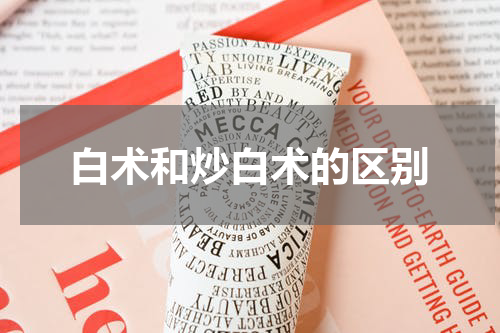 白术和炒白术的区别