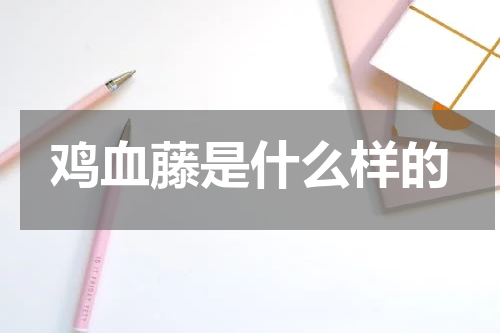 鸡血藤是什么样的