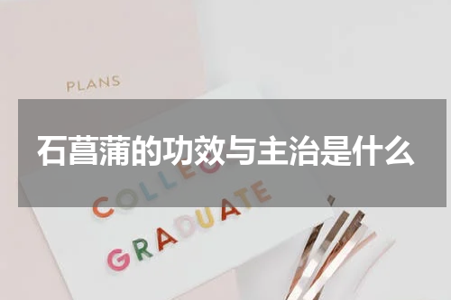 石菖蒲的功效与主治是什么