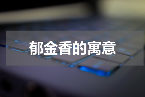 郁金香的寓意