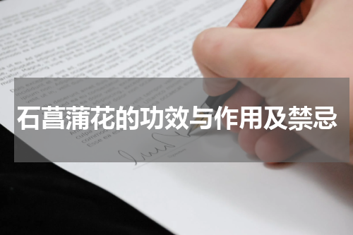 石菖蒲花的功效与作用及禁忌