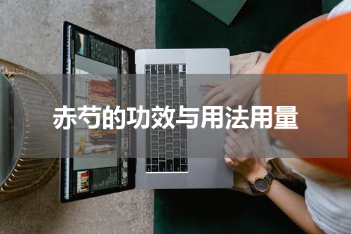 赤芍的功效与用法用量
