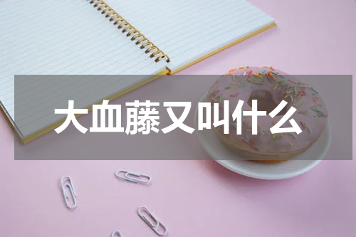 大血藤又叫什么
