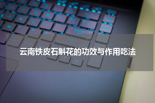 云南铁皮石斛花的功效与作用吃法
