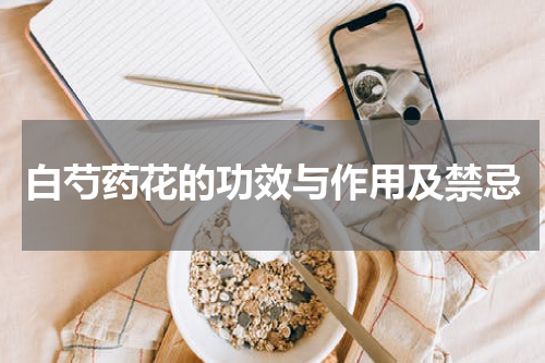 白芍药花的功效与作用及禁忌
