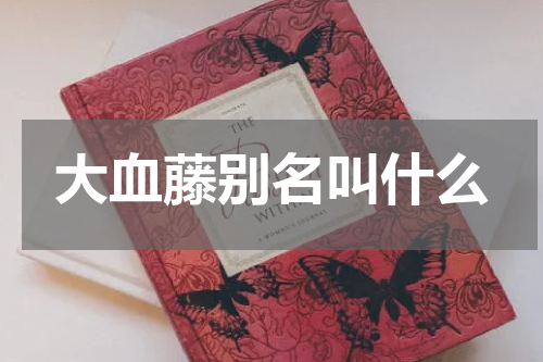 大血藤别名叫什么