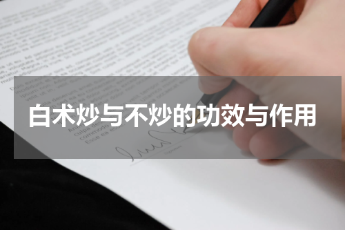白术炒与不炒的功效与作用