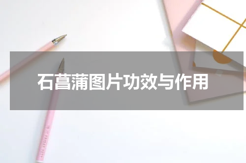 石菖蒲图片功效与作用