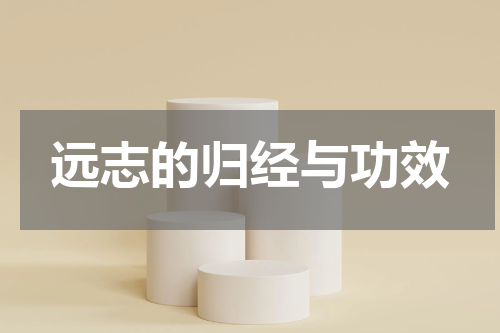 远志的归经与功效