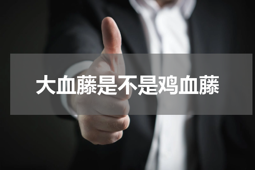 大血藤是不是鸡血藤