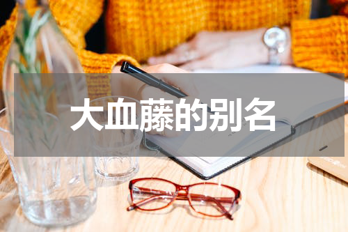 大血藤的别名