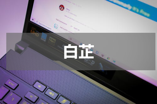 白芷