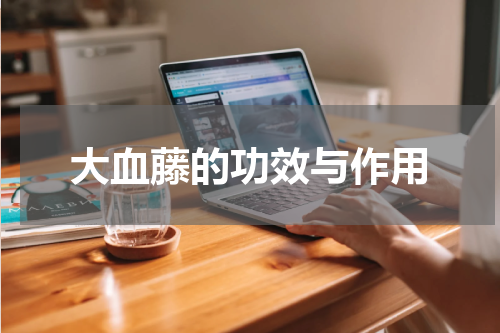 大血藤的功效与作用