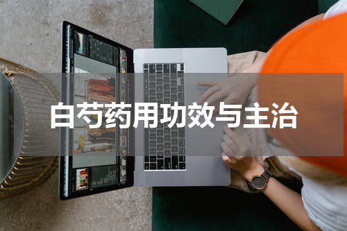 白芍药用功效与主治
