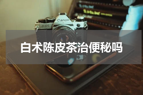 白术陈皮茶治便秘吗