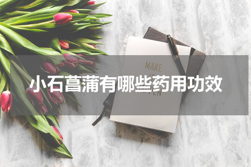 小石菖蒲有哪些药用功效
