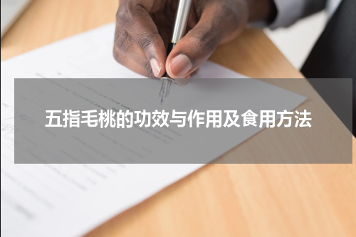 五指毛桃的功效与作用及食用方法