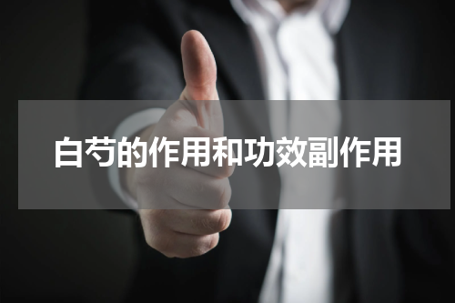 白芍的作用和功效副作用