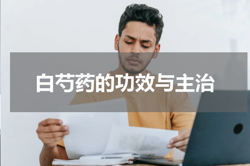 白芍药的功效与主治