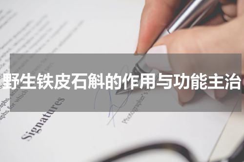 野生铁皮石斛的作用与功能主治