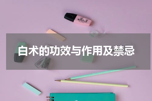 白术的功效与作用及禁忌