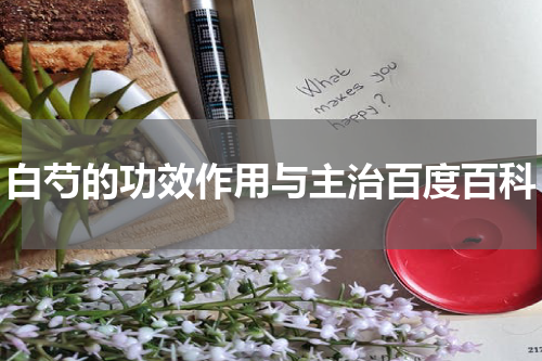 白芍的功效作用与主治百度百科