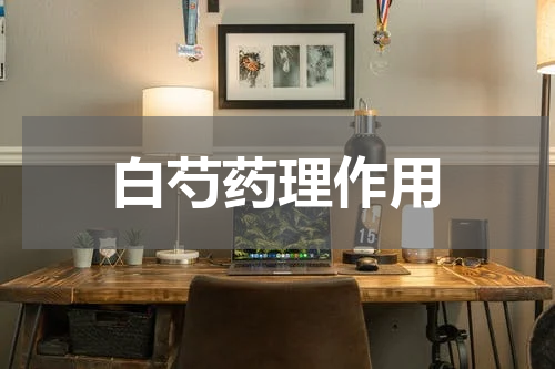 白芍药理作用