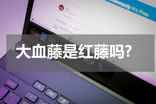 大血藤是红藤吗?