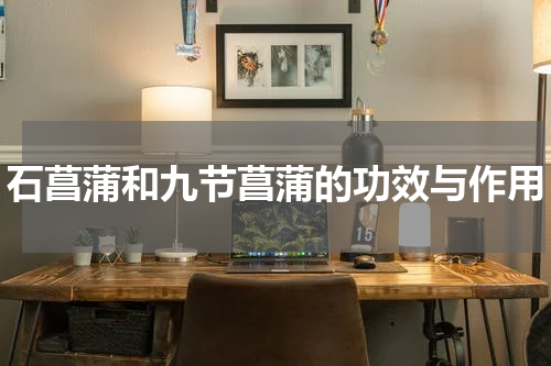 石菖蒲和九节菖蒲的功效与作用